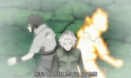 忍战小樱自制爆料视频在线观看,独家揭秘精彩瞬间